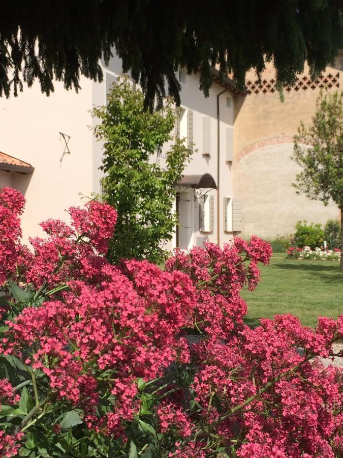Arcadia Gualtieri
